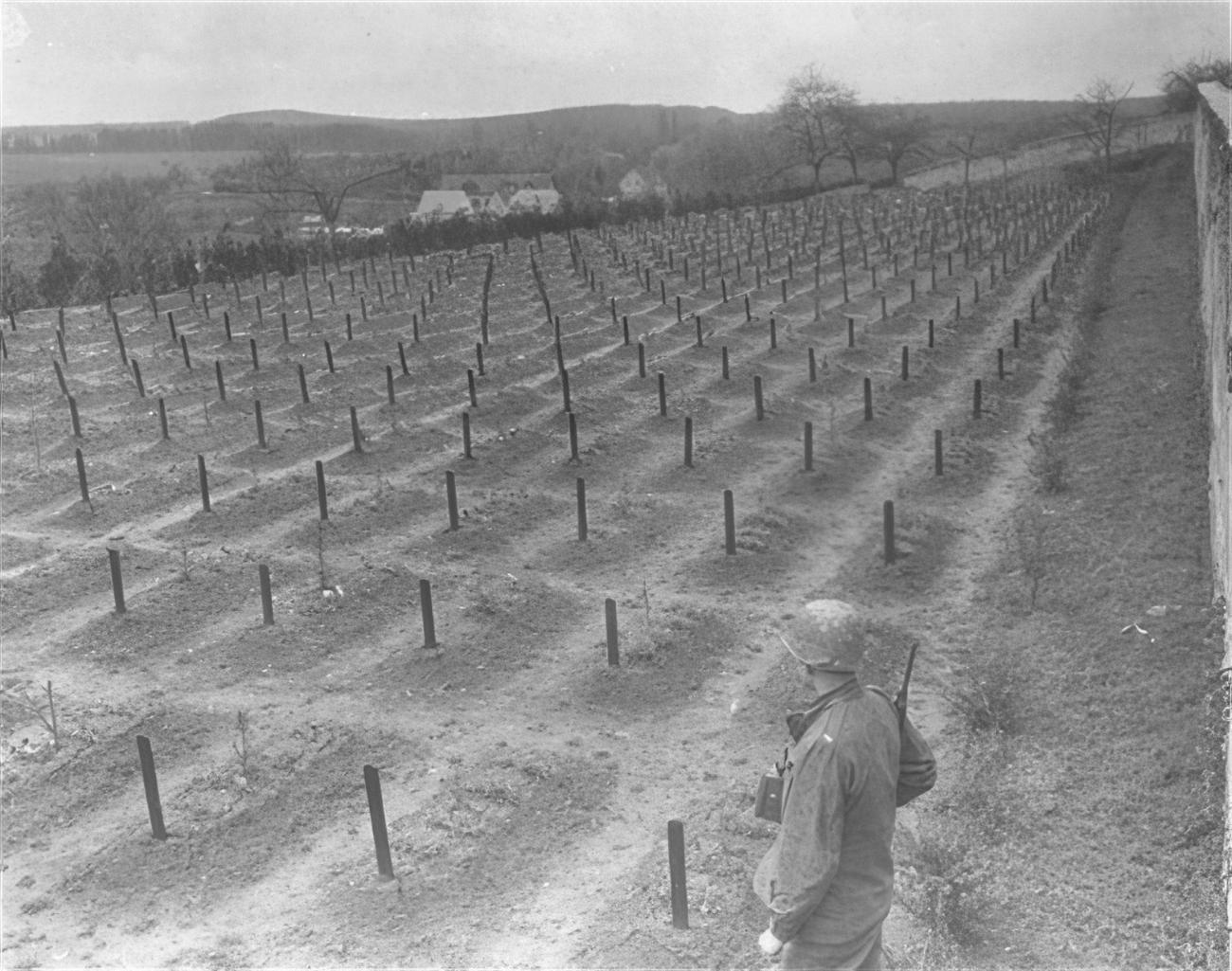 Hadamar (c) Hadamar cemetry 1945 | Friedhof der Tötungsanstalt Hadamar | Copyright wikipedia Hadamar