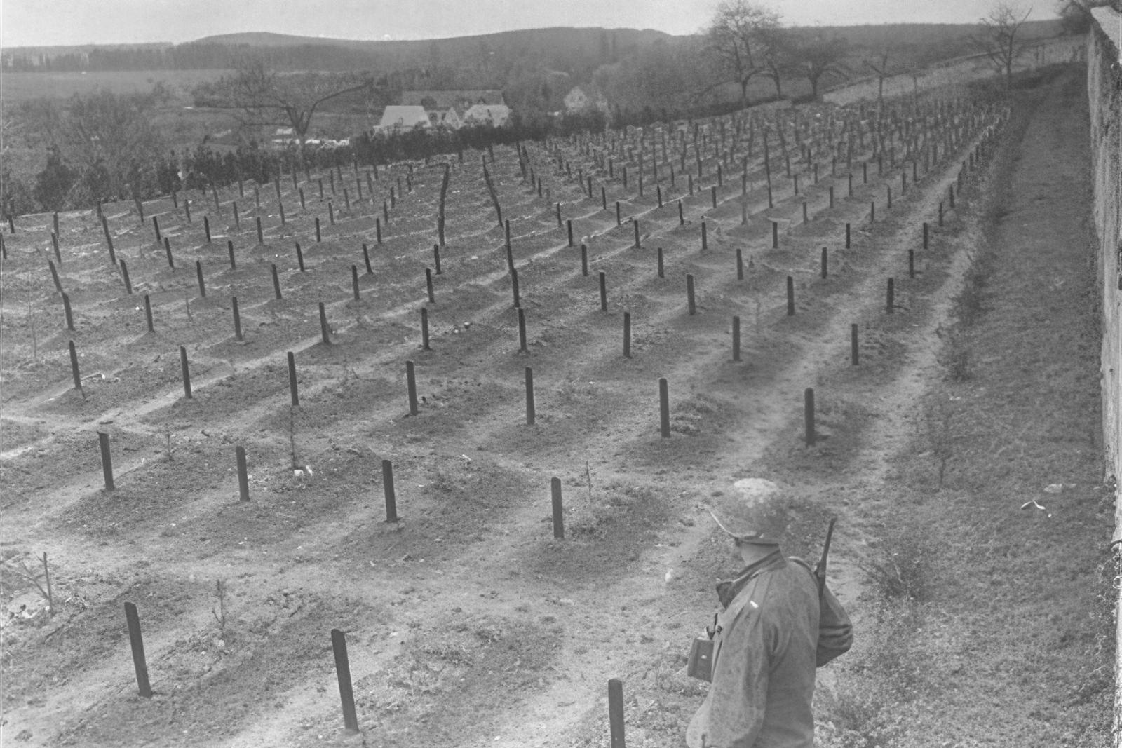 Friedhof der Tötungsanstalt Hadamar, 1945