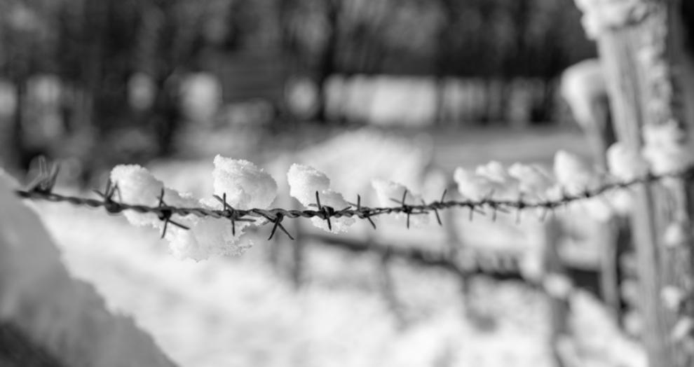 Stacheldrahtzaun im Winter