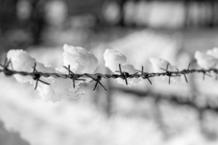 Stacheldrahtzaun im Winter