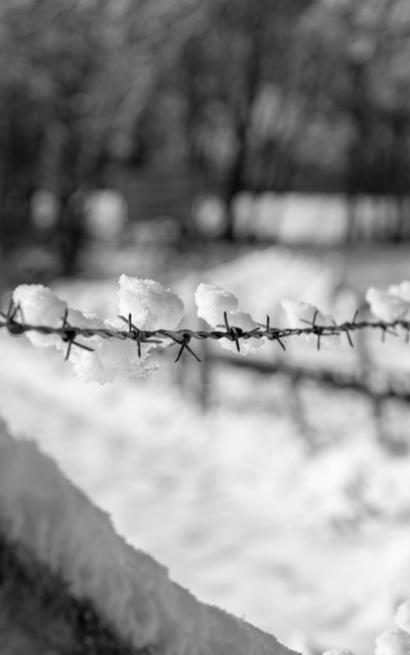 Stacheldrahtzaun im Winter