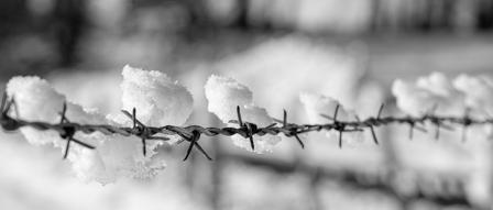 Stacheldrahtzaun im Winter